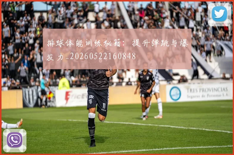 排球体能训练秘籍：提升弹跳与爆发力_20260522160848
